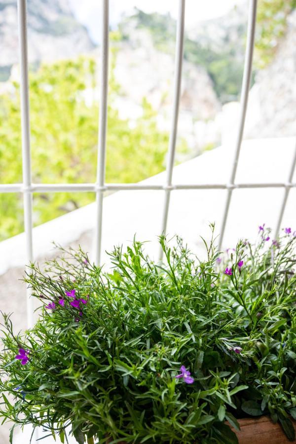 Mamma Mia Apartman Positano Kültér fotó